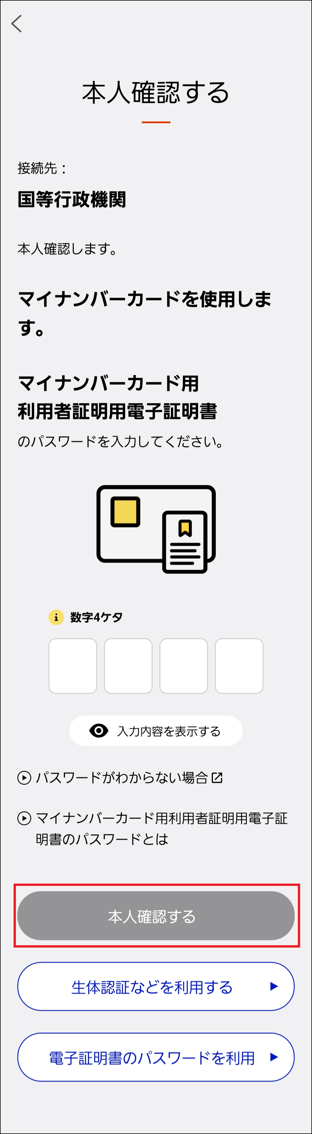 iPhone